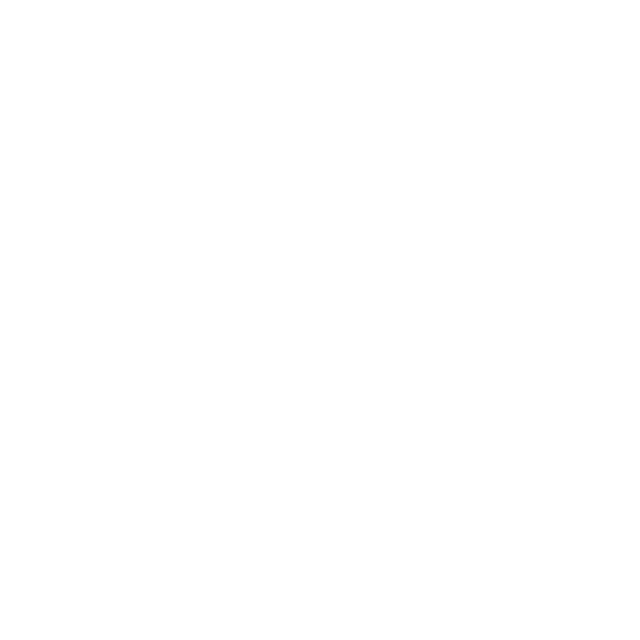 logo ste